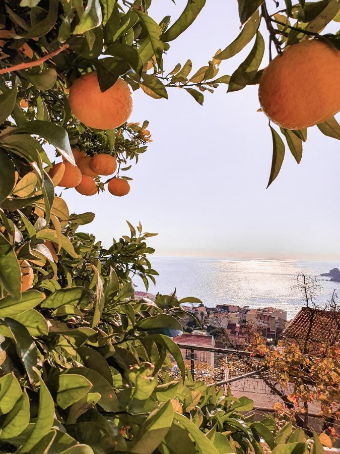 Apartman Lana Petrovac Dış mekan fotoğraf